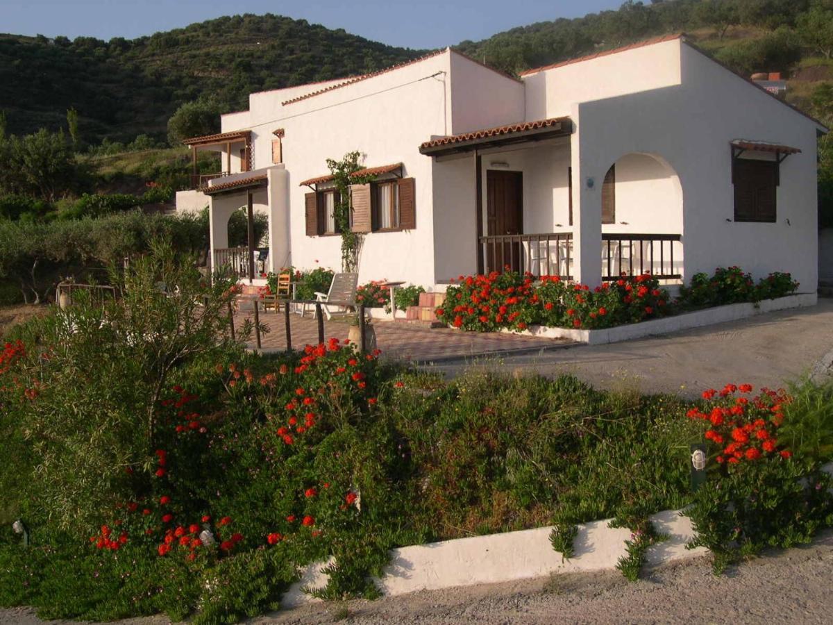Limenaria Apartments Mochlos Oda fotoğraf